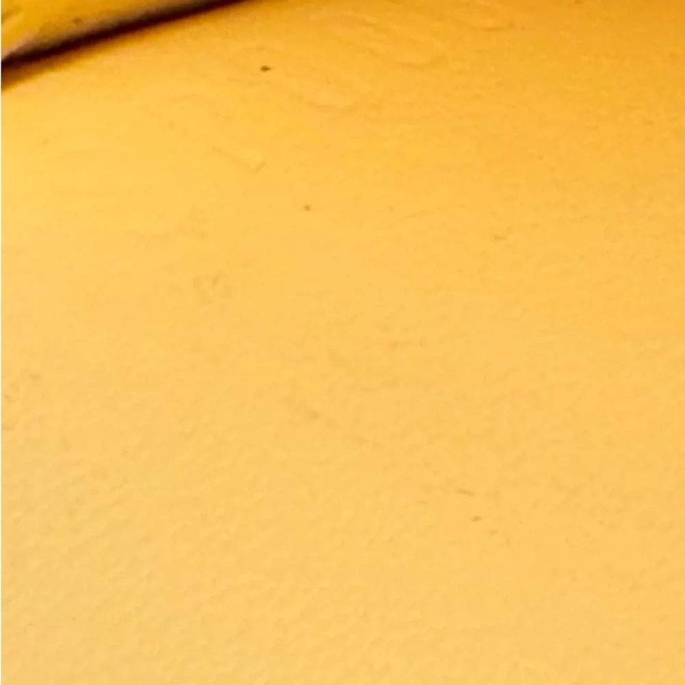 Louis Vuitton Yellow PM Organizer with Inserts - Picture 3 of 7